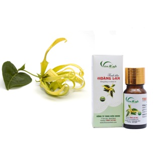Tinh dầu Hoàng Lan 10ml Viên Minh