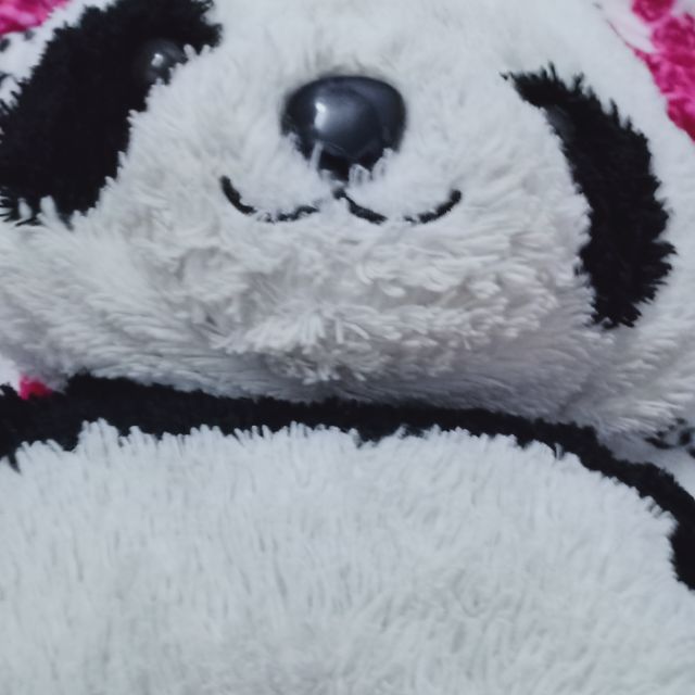 Gấu si rẻ ( chưa xử lý)