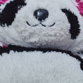 Gấu si rẻ