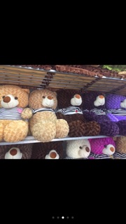 Gấu bông teddy khổ vải 1m2