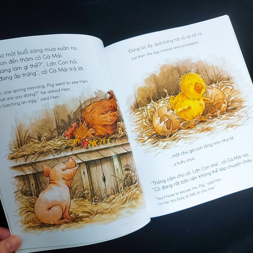 Sách - Picture book song ngữ Quả trứng của lợn con (dành cho bé 3-8 tuổi)