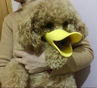 Rọ mõm hình mỏ vịt cho CHÓ MÈO