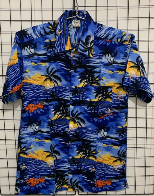 Áo sơ mi nam bông BIGSIZE < 120kg (XL-8XL) | BigBuy360 - bigbuy360.vn