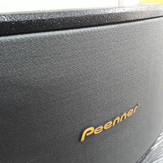 Loa Karaoke Peenner PS-299