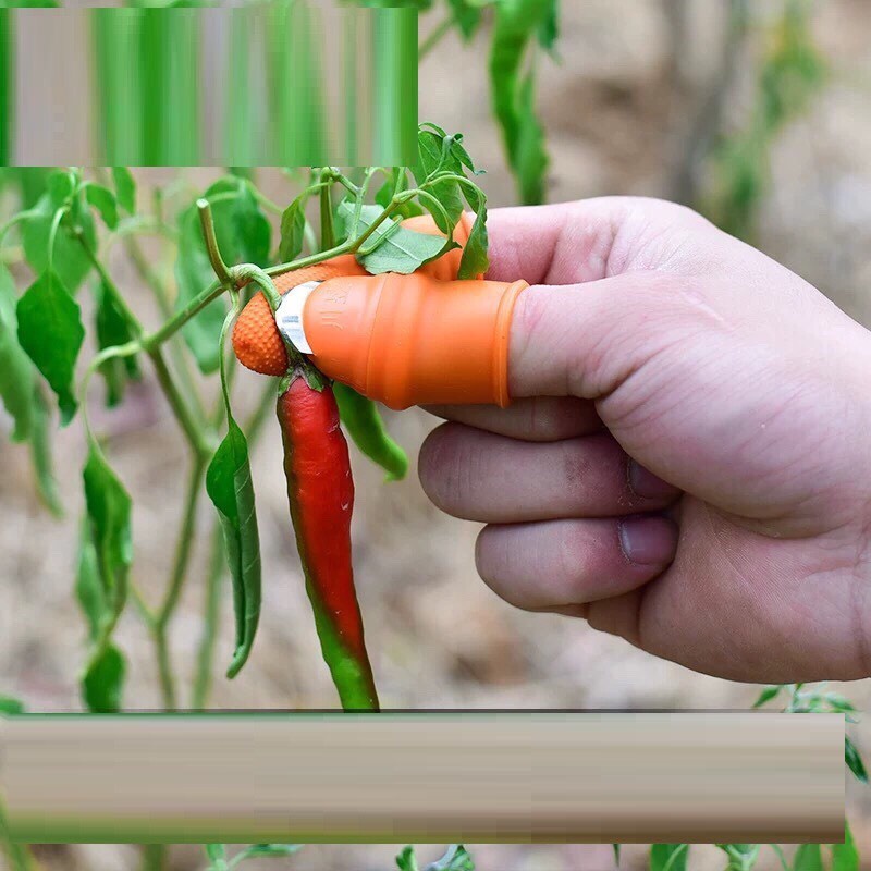 Bộ móng nhặt rau củ chống bẩn móng tay