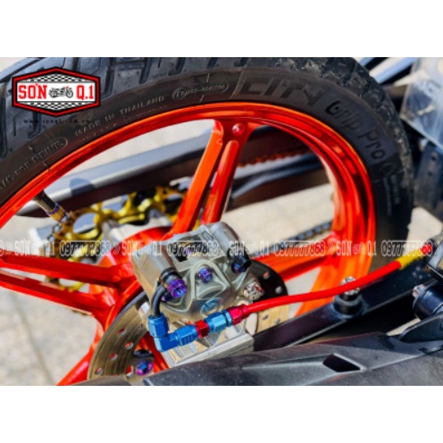 Heo BB 2 pis logo lớn