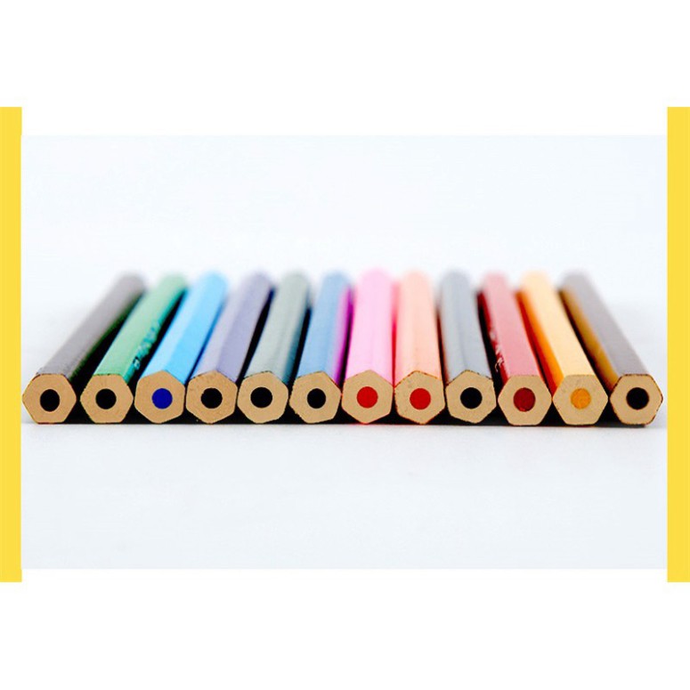 Ống bút chì màu dạng cốc 12 màu GuangBo QB9565