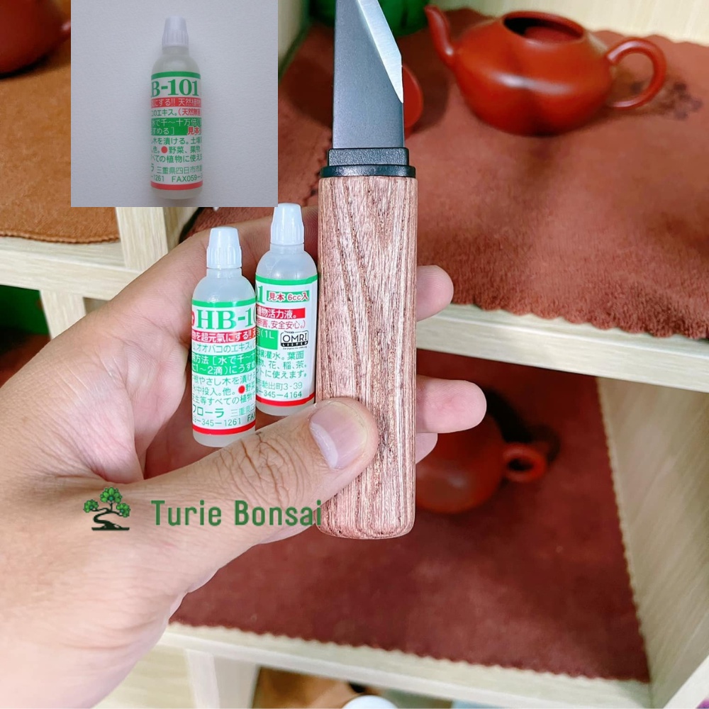 Phân hữu cơ Organic Flora Plant Vitalizer HB-101 Nhật Bản 6ml tăng năng suất giải độc đất ra rễ nhanh