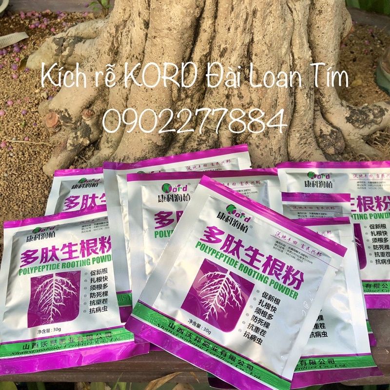 PHÂN BÓN SIÊU KÍCH RỄ CỰC MẠNH