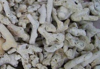 San hô vụn lọc nước 200gram