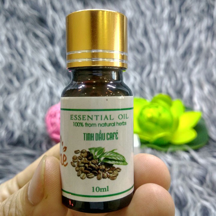 COMBO 2 LỌ 10ML _ Tinh Dầu Cà Phê VIDAME - giúp tỉnh táo, minh mẫn