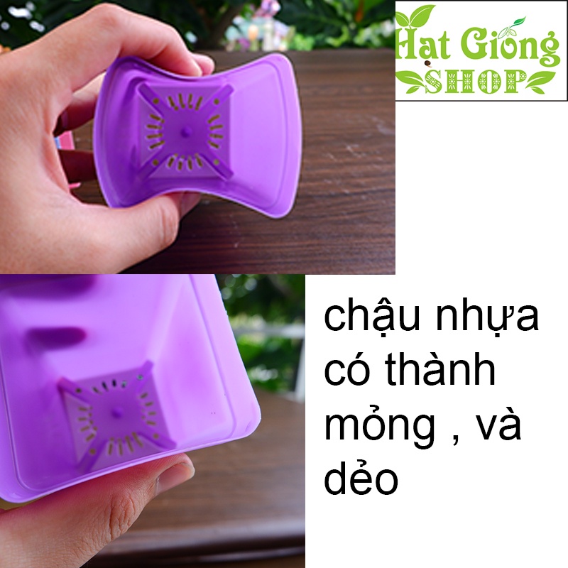 Chậu nhựa mini vuông