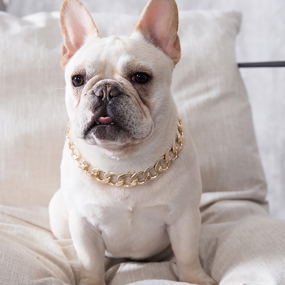 Vòng cổ Màu Vàng Kim Phong Cách Punk Rộng 36cm/45cm Có Thể Điều Chỉnh Cho Chó Mèo