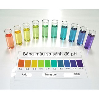 Dung Dịch Kiểm Tra pH | Test pH Hồ Cá Cảnh