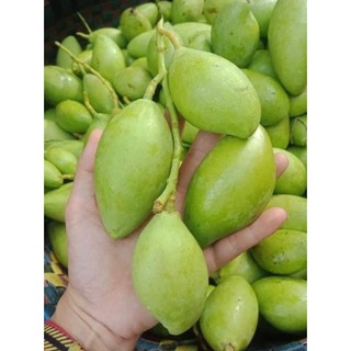 Chai 500ml nước chấm hoa quả thần thánh