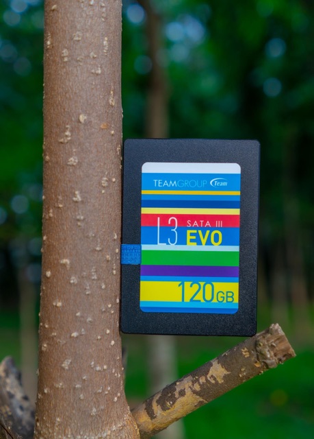 Ổ Cứng SSD COLORFUL, Lexar, Teamgroup evo3, Kingtons