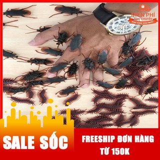 [RẺ VÔ ĐỊCH] Gián + Rết Nhựa (Gói 20 Con) - Đồ Chơi Trẻ Em