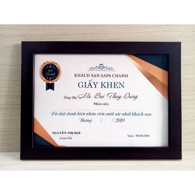 Khung ảnh,bằng khen A3 , A4cm mặt mica.