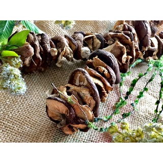 Nấm hương rừng