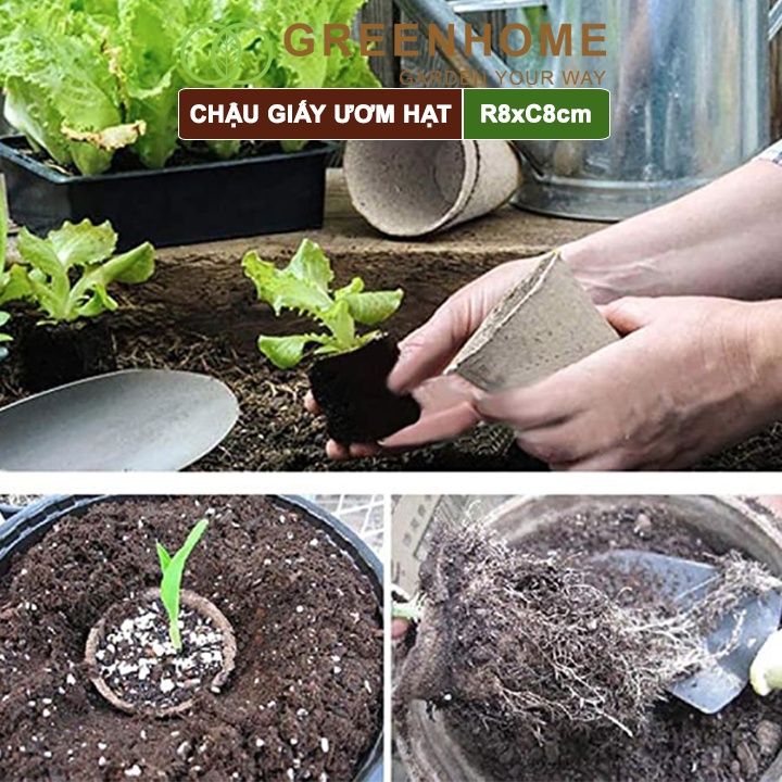 50 Chậu giấy ươm hạt giống, cây con Greenhome, D8xR8cm, hữu cơ tự phân huỷ, tiện lợi, thân thiện môi trường