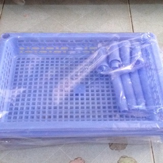 Kệ chén nhí 2 ngăn Duy Tân