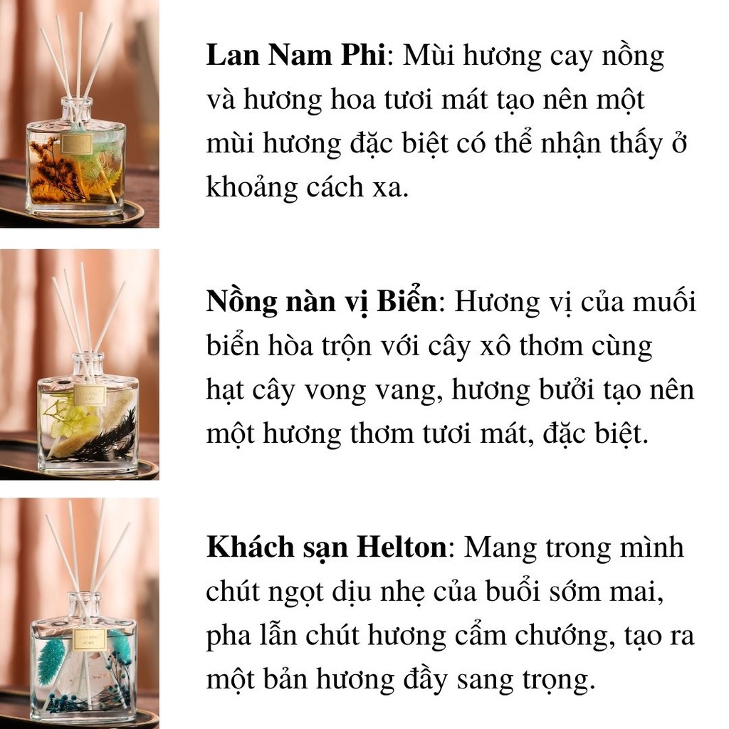 Tinh dầu thơm phòng kèm nước hoa thơm mát lọ khuếch tán hương thơm - TD43