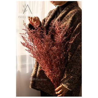 [HOA KHÔ] DRIED STATICE🌸Decor Nhà, Phụ Kiện Chụp Ảnh