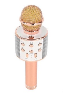 Micro hát karaoke Bluetooth 3in1 kèm loa WS-858