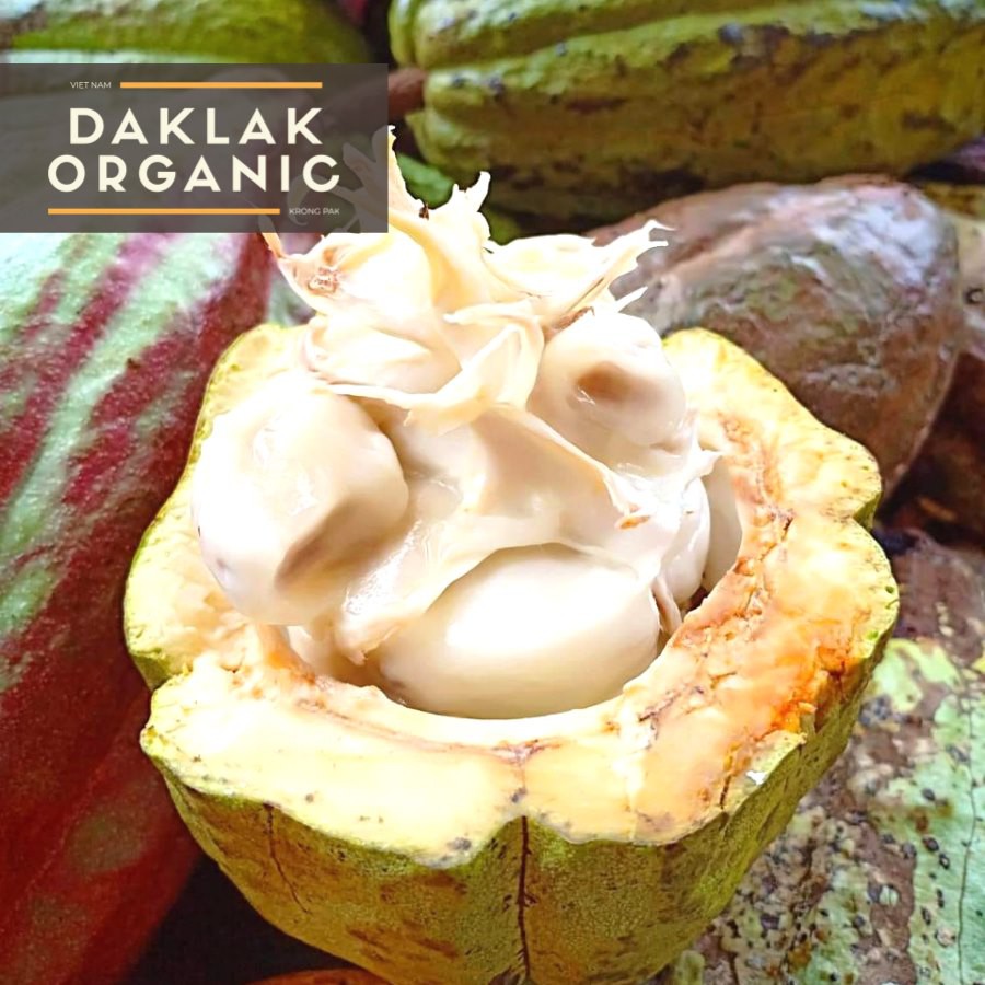 [TẶNG MUỖNG GỖ] Bột Cacao Nguyên Chất Daklak Organic 12% Túi Kraft | Ca cao Đắk Lắk