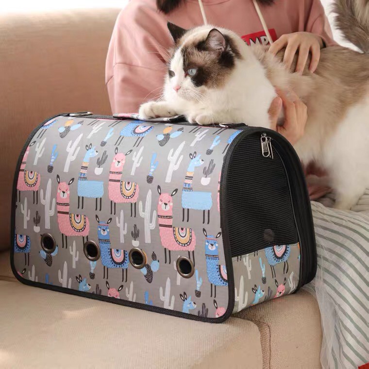 Túi vận chuyển chó mèo - balo túi vận chuyển cho chó mèo đi xa tiện lợi