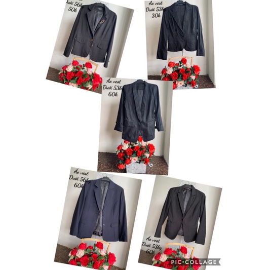 Áo vest