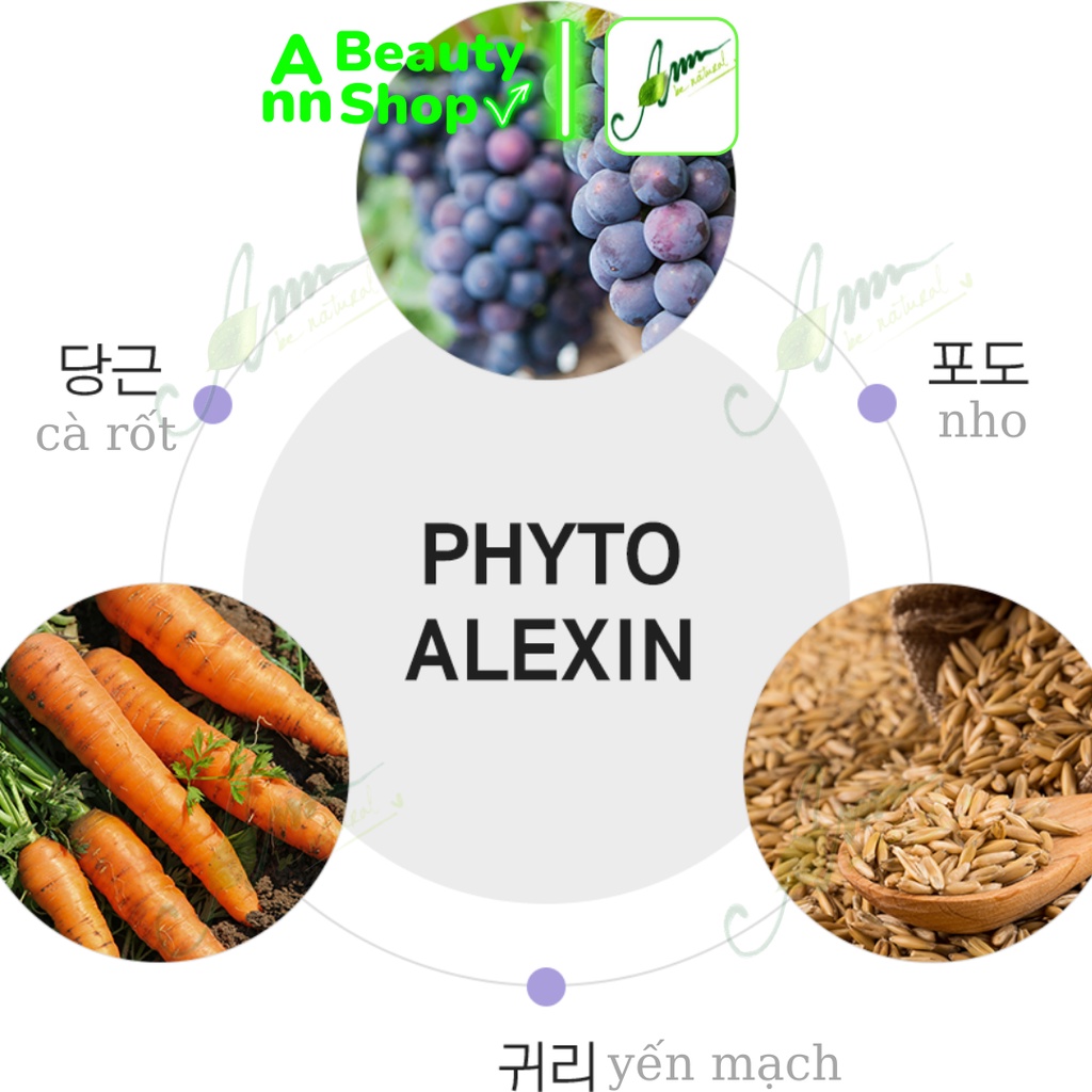 Dòng Dưỡng Ẩm Phục Hồi Da Laneige Phyto-Alexin Minisize