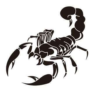 Decal bọ cạp có kích thước 20 cm X 30 cm