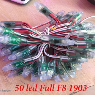 50 led full f8 1903