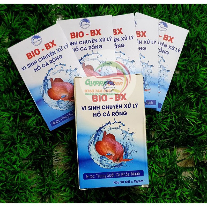Vi sinh BIO - BX cho hồ cá rồng