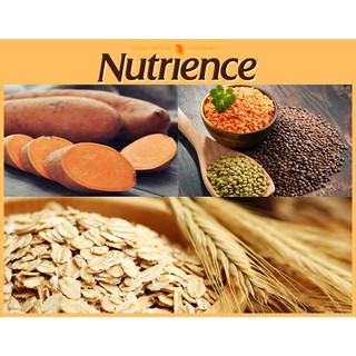 HẠT NUTRIENCE SUBZERO MÈO BAO 2.27KG