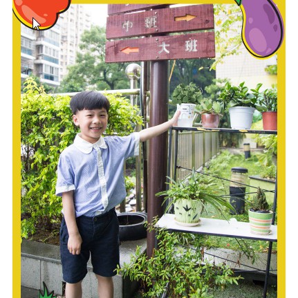 Đồ chơi giáo dục Ecoey Sinh Học tự làm chậu trồng cây các loại hoa và quả, kèm hạt giống và đất