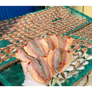 500Gram CÁ CHỈ VÀNG 2 NẮNG có ớt