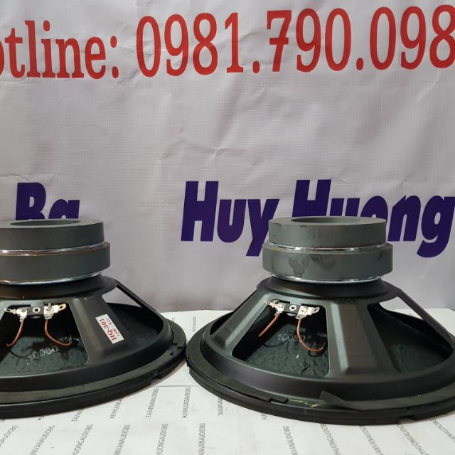 1 cặp BASS 25cm
