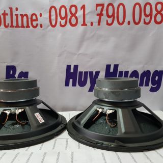 1 cặp BASS 25cm