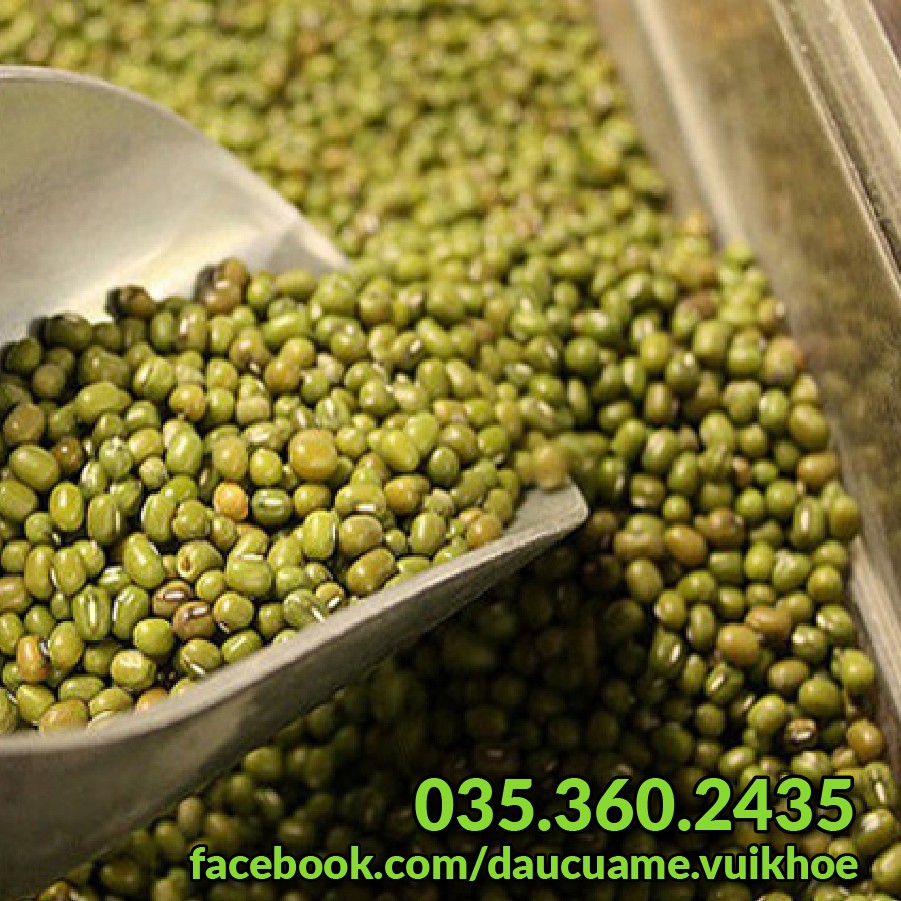 Đậu xanh  làm giá