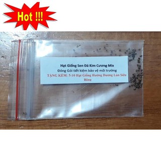 10 hạt giống sen đá kim cương