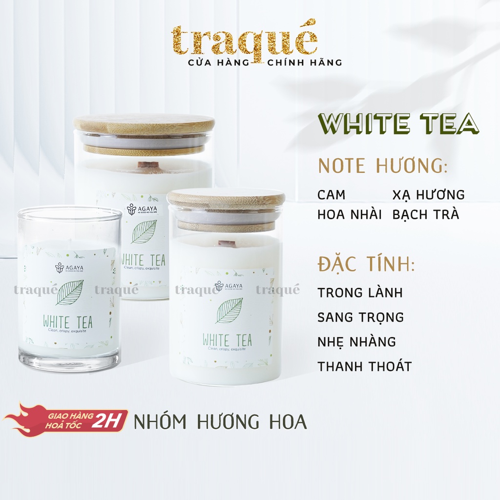 Nến thơm Candle Cup/Agaya - Hương Hoa WHITE TEA