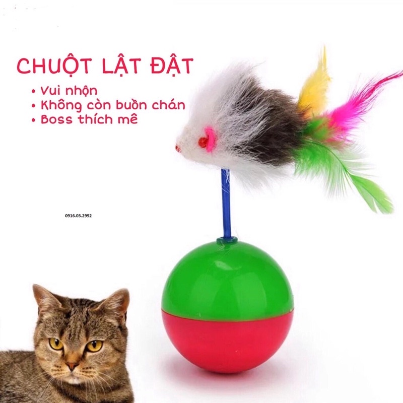 Đồ chơi bóng lật đật cho mèo