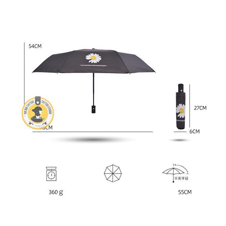 Ô Dù Hoa Cúc Hàn Quốc