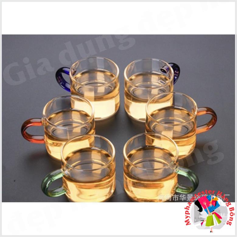 (HÀNG ĐẸP) set 6 chén thuỷ tinh trụ quai màu dung tích 100ml