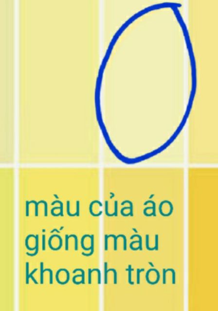 Áo thun kiểu dài tay đẹp xuất nhật
