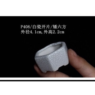 chậu mini , chậu bonsai mini , chậu tàu mini