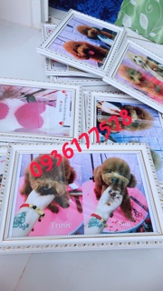 KHUNG GỖ MẶT KÍNH SIZE 20:30 LOẠI 1
