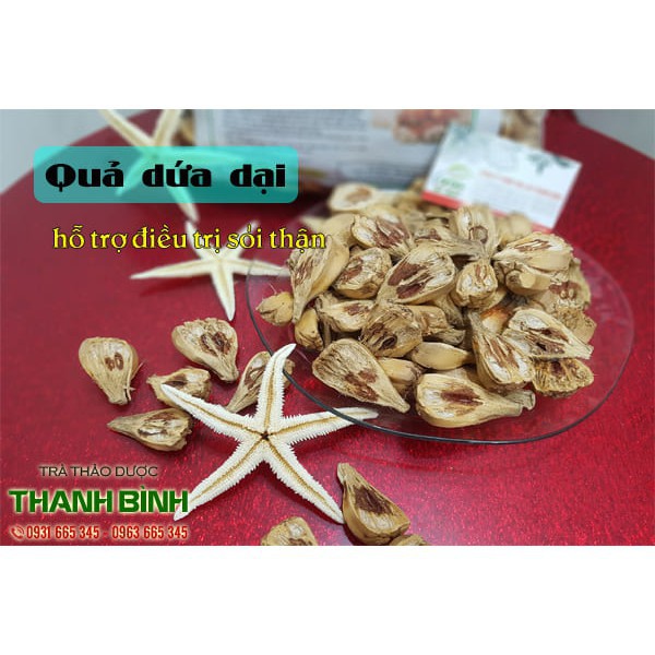 Quả Dứa Dại 1kg - Không Lo Sỏi Thận - Đông Y Thanh Bình